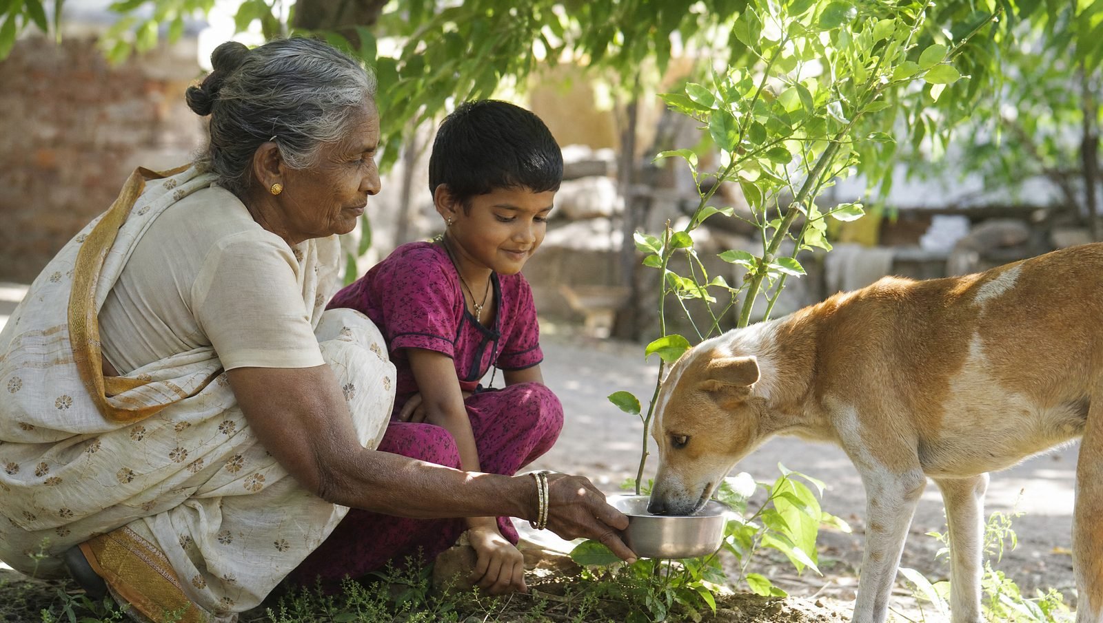 An elderly woman and a child offering water to a street dog beside a young sapling